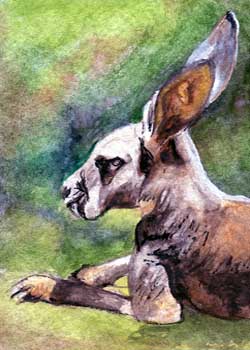 "Pal Joey" by Beverly Larson, Oregon WI - Watercolor